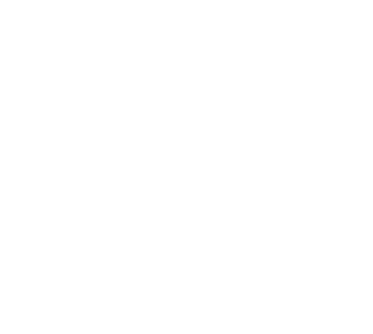 SINS OF THE SOUTH